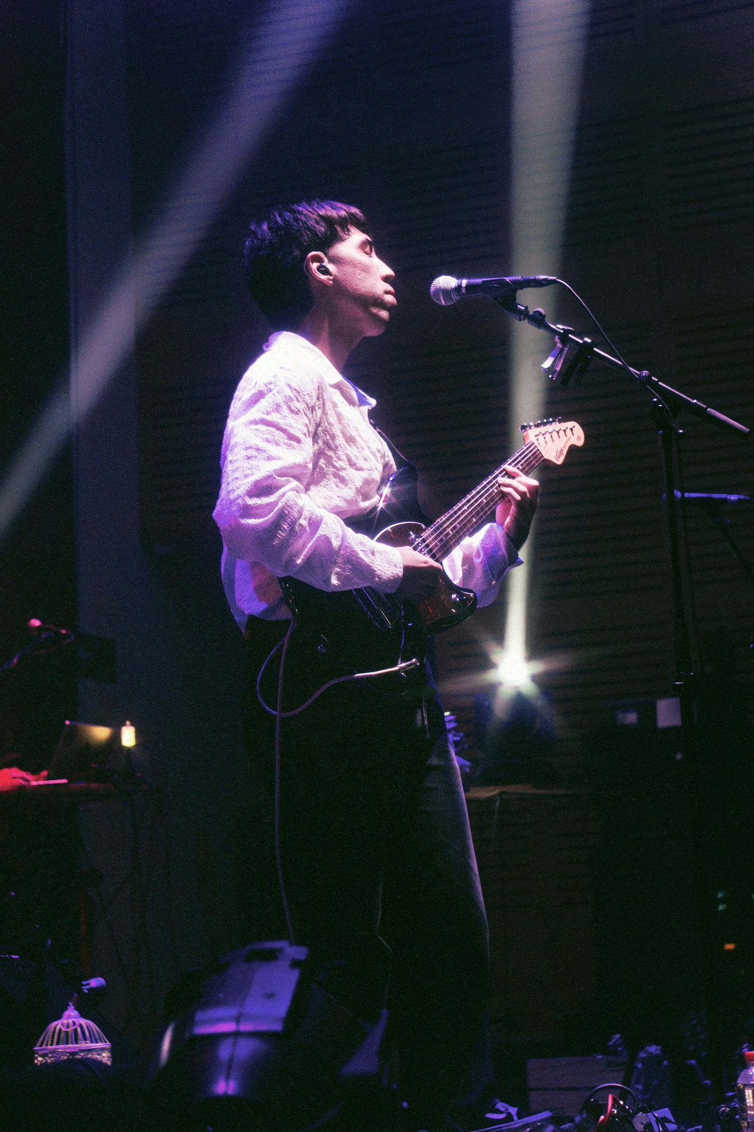 El Significado de las Flores - Ciclo Nuevo Rock